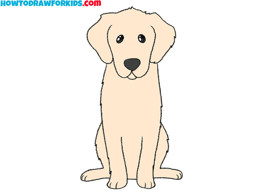 how to draw golden retriever fur