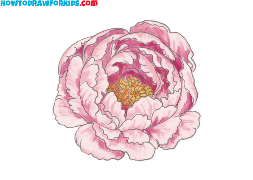 peony drawing for beginners