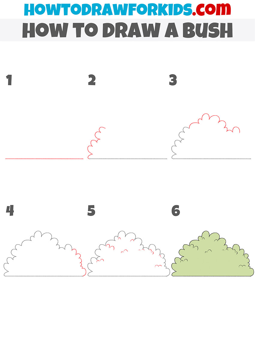 how to draw a bush step by step