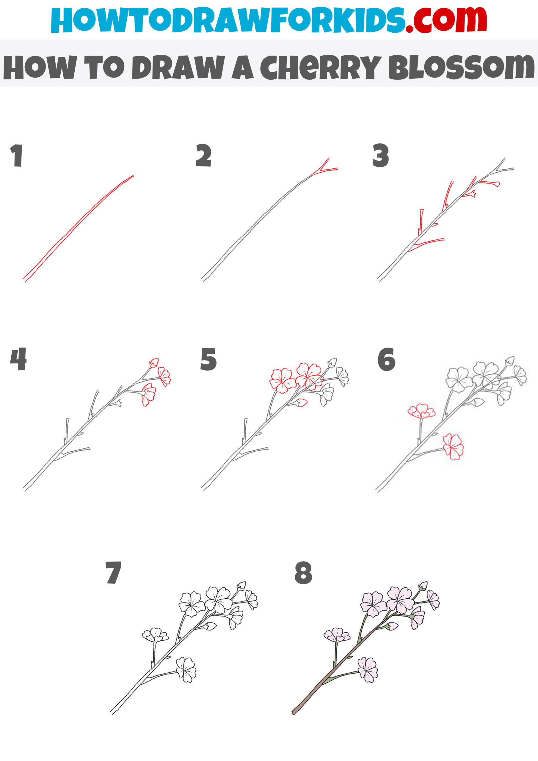 how to draw a cherry blossom step by step