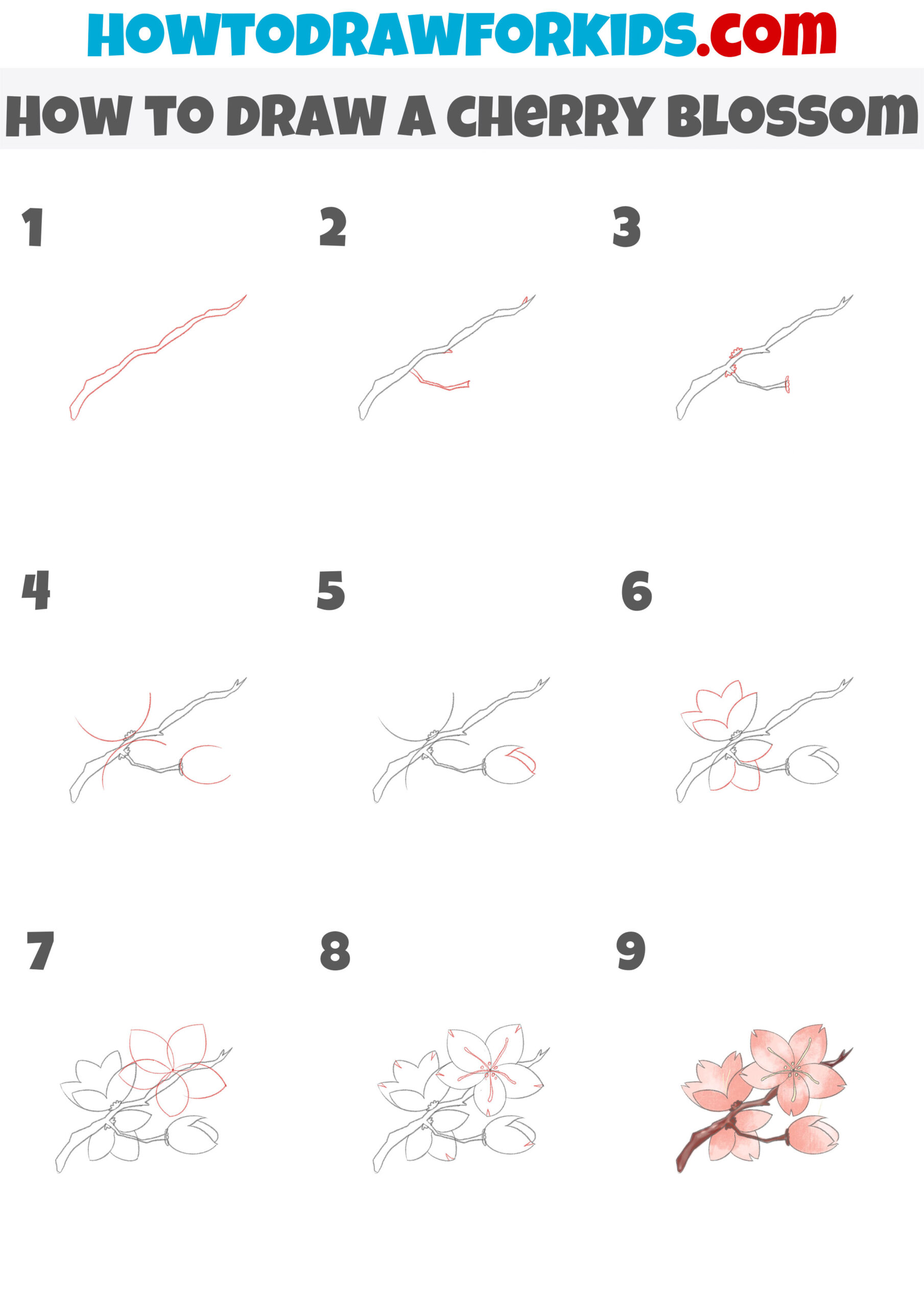 how to draw a cherry blossom step by step