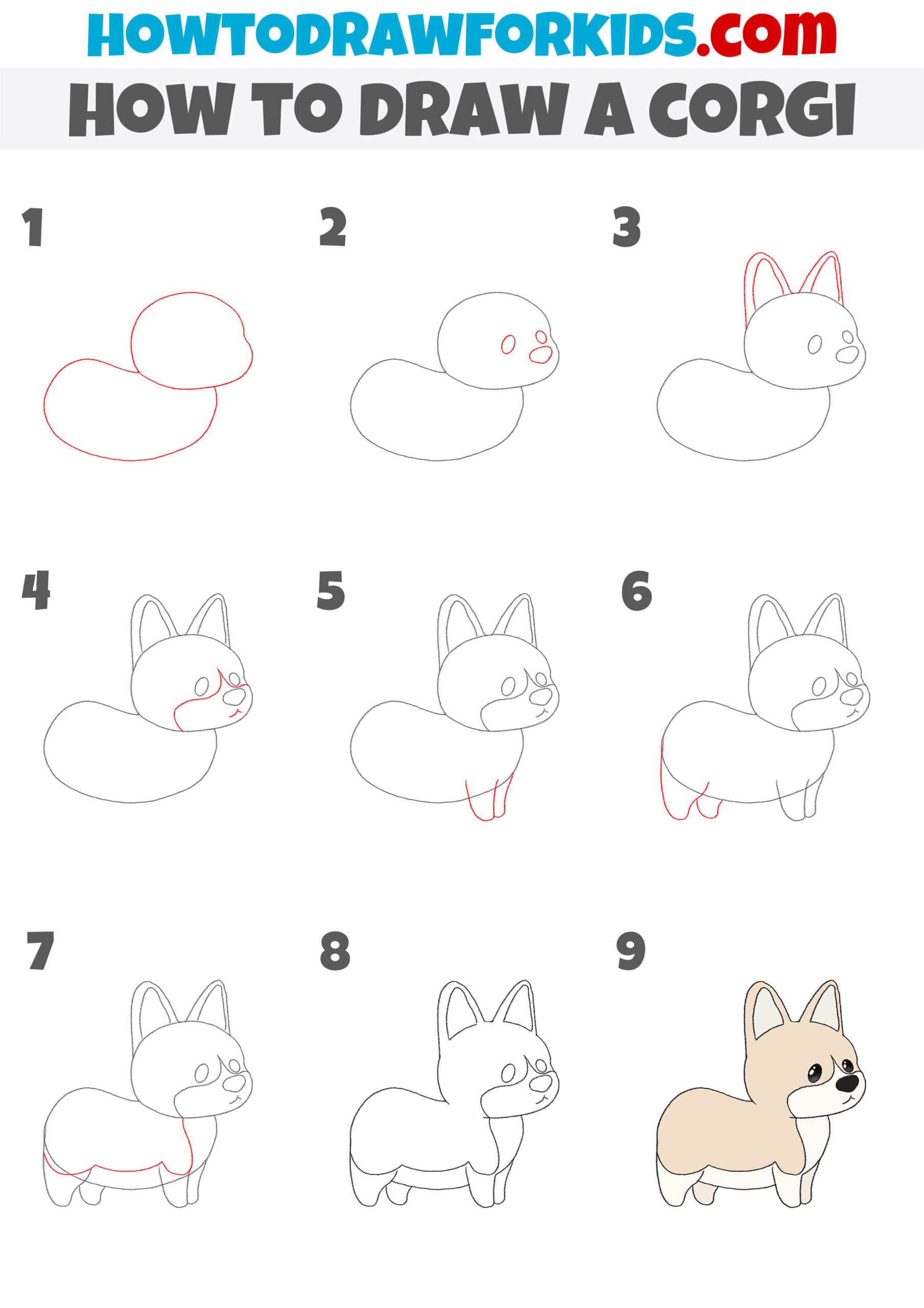 how to draw a corgi step by step