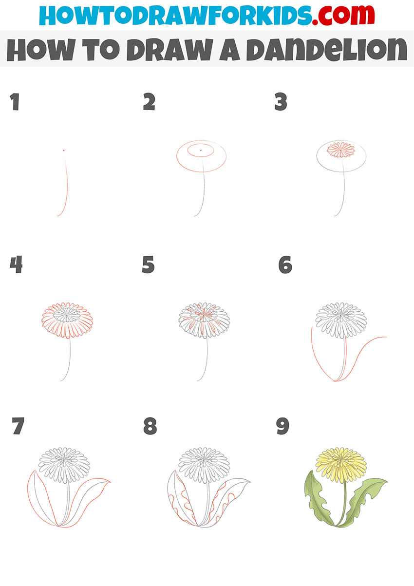 how to draw a dandelion step by step
