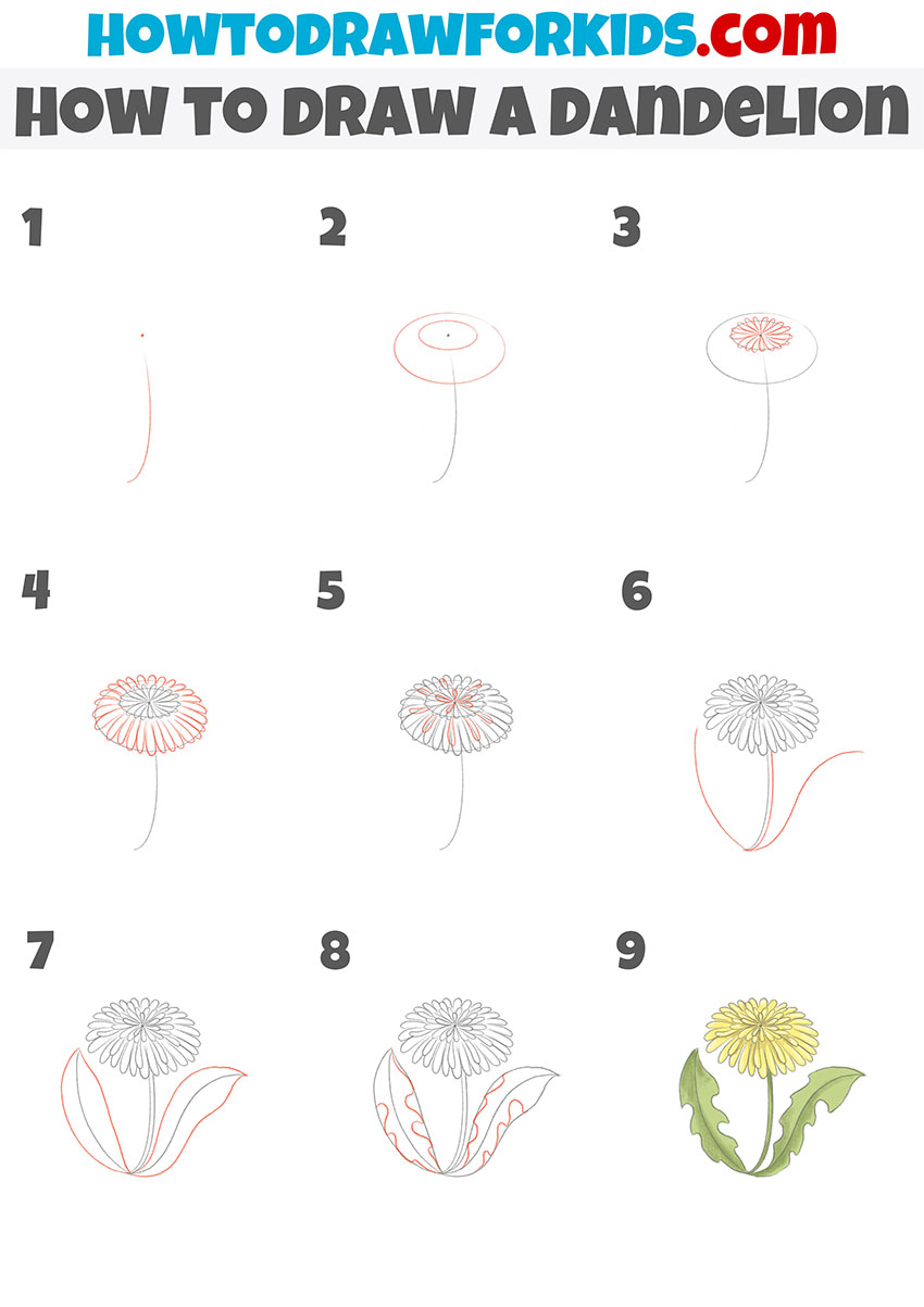 How To Draw A Dandelion Step By Step