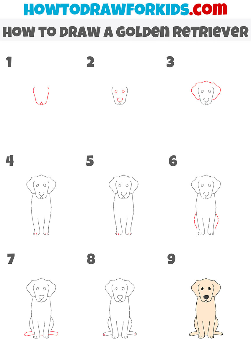 how to draw a golden retriever step by step