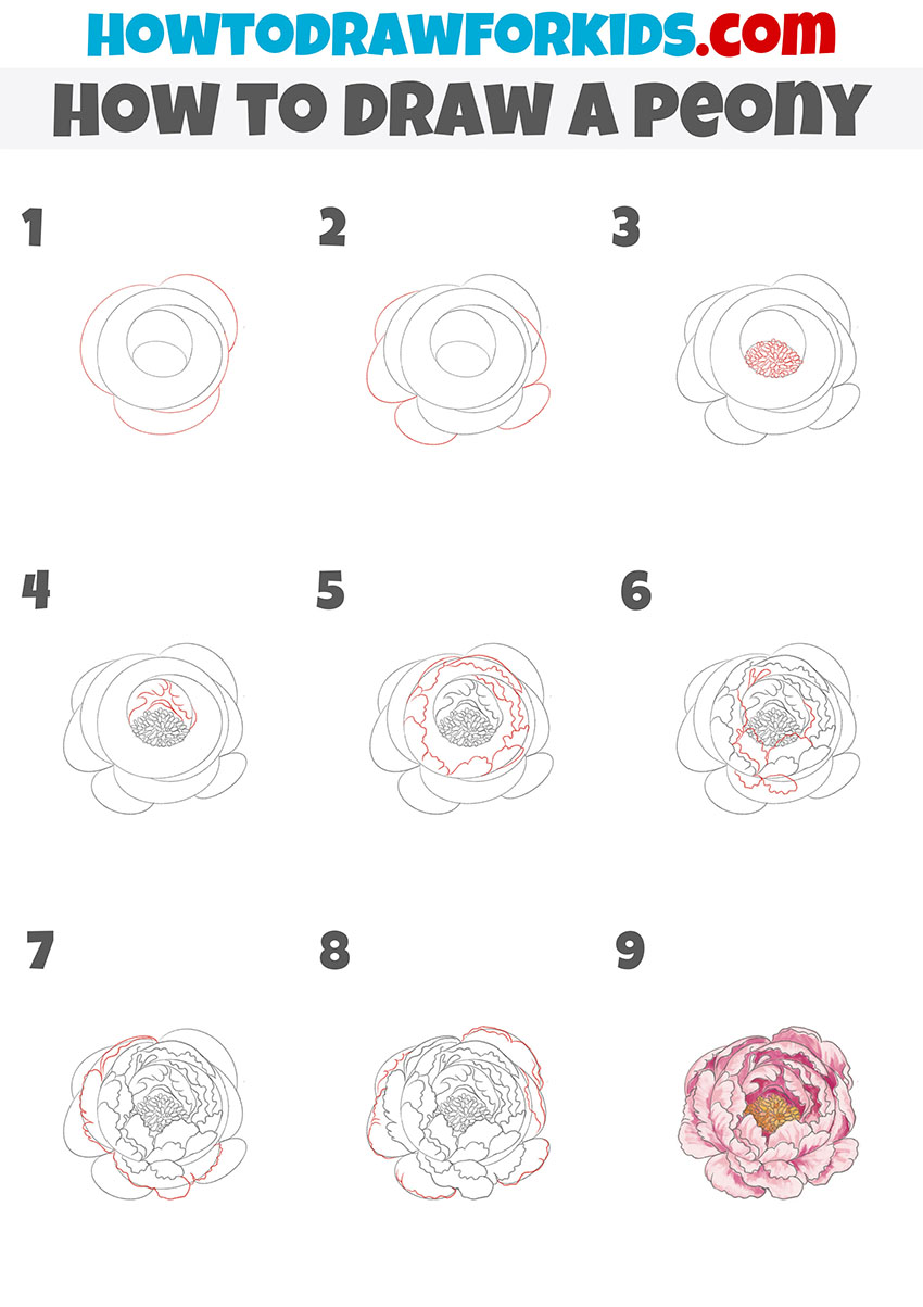 How to Draw a Peony - Easy Drawing Tutorial For Kids