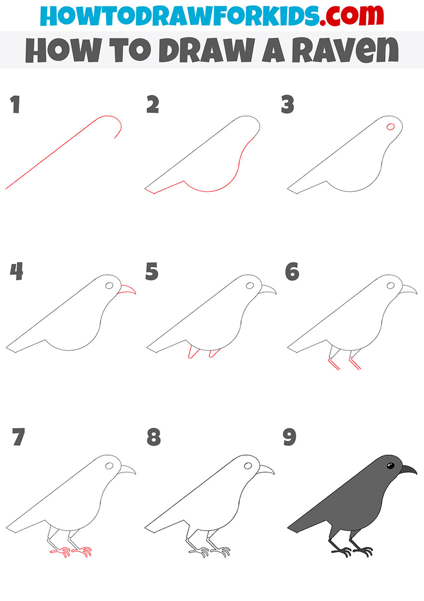 how to draw a raven step by step