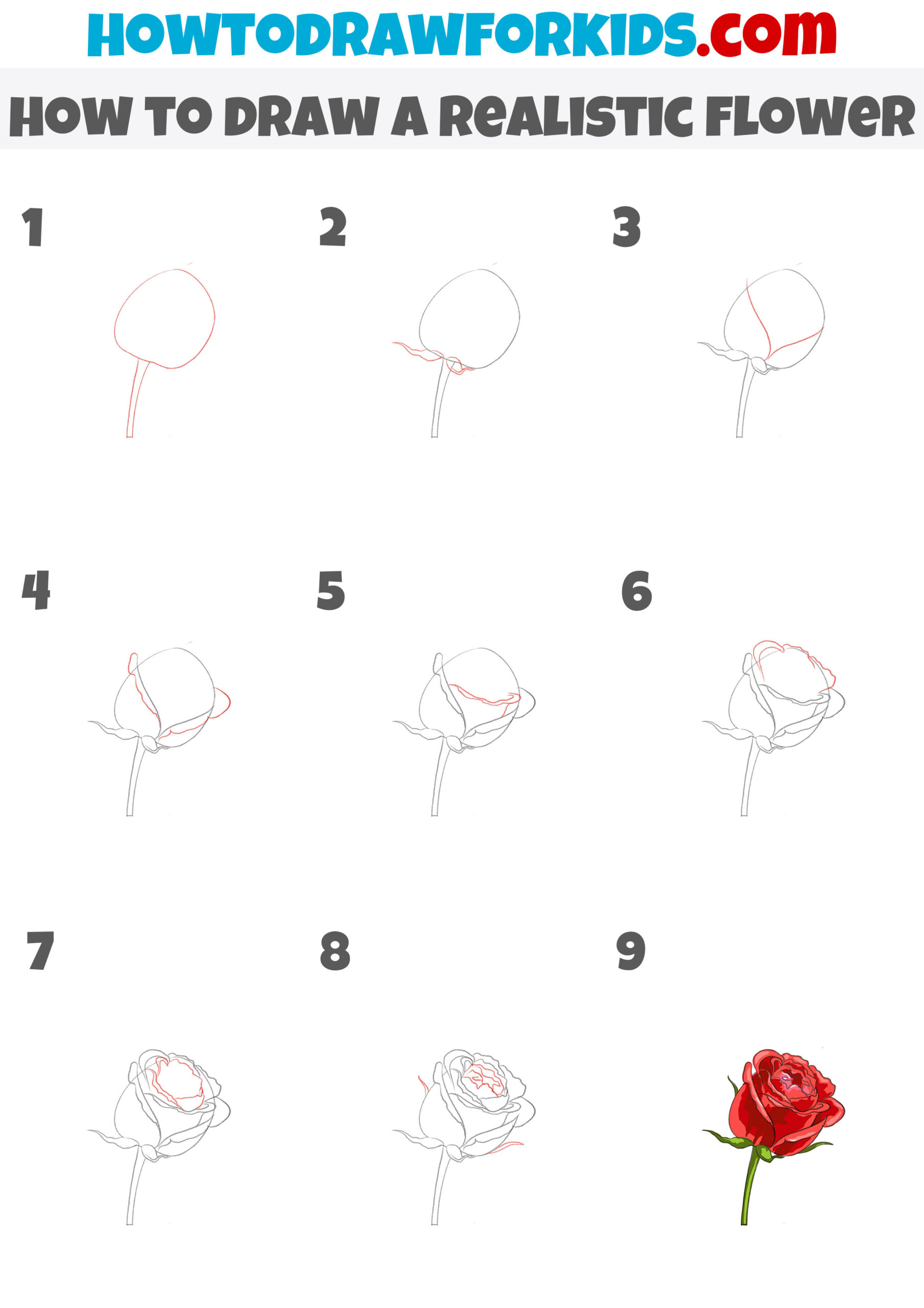how to draw a realistic flower step by step