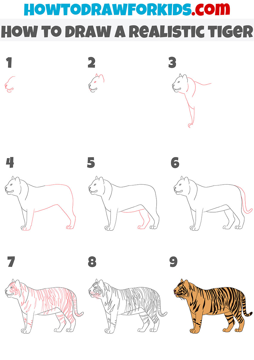 How to Draw a Realistic Tiger - Easy Drawing Tutorial For Kids