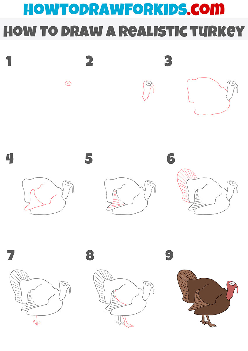 How to Draw a Realistic Turkey Easy Drawing Tutorial For Kids