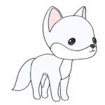 How to Draw an Arctic Fox Step by Step
