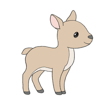 How to Draw an Easy Deer