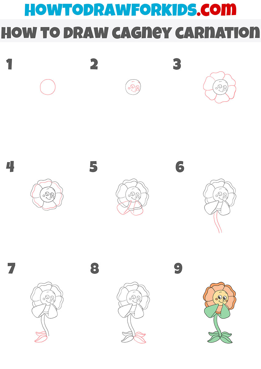 how to draw cagney carnation step by step