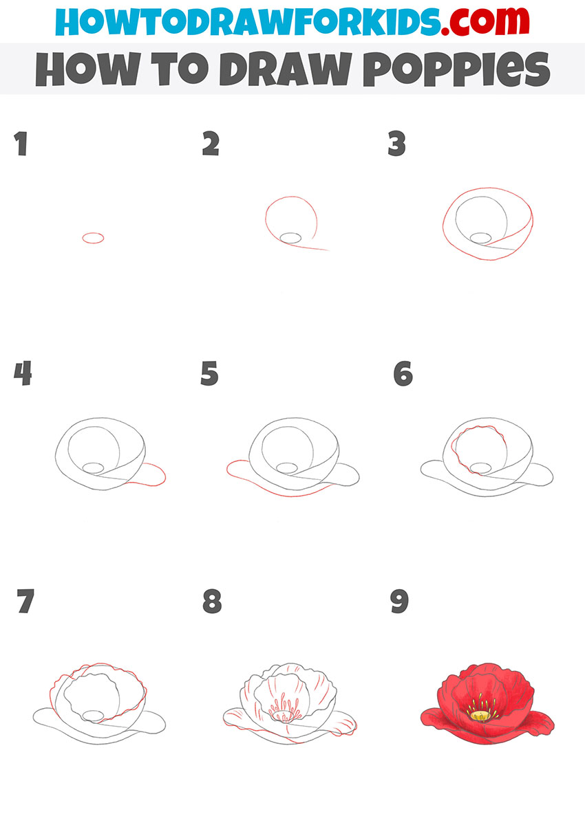 How to Draw Poppies: Step-by-step instructions for drawing 13 beautiful  poppy flowers, Line Drawing Flowers, Reference Guide for any Hobbyist or