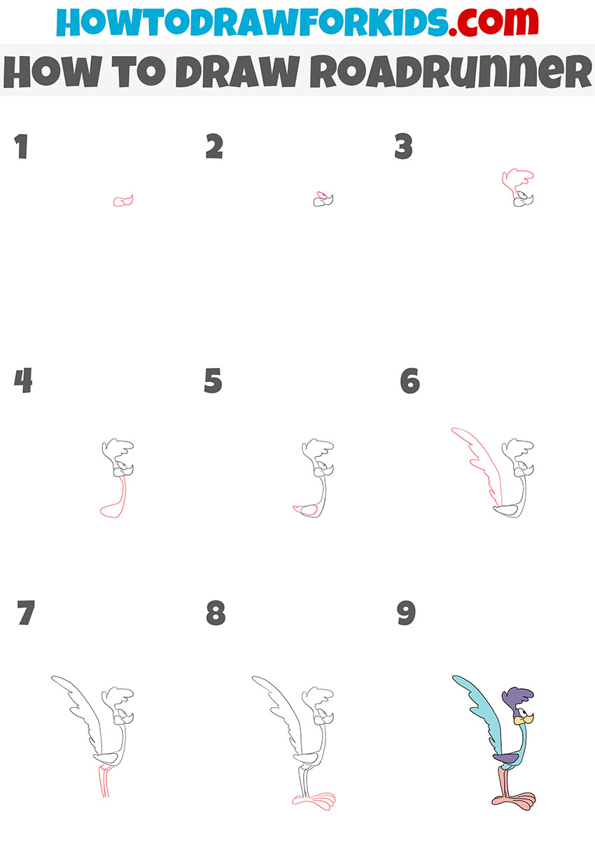 how to draw roadrunner step by step