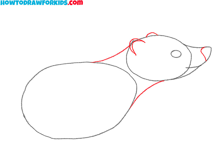 how to draw a cartoon badger