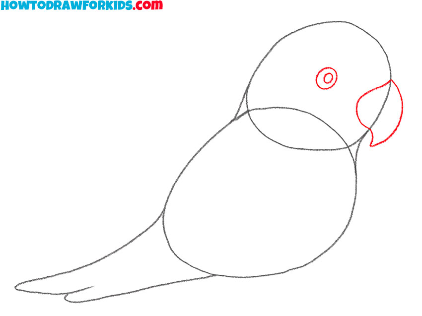 how to draw a parrot realistic