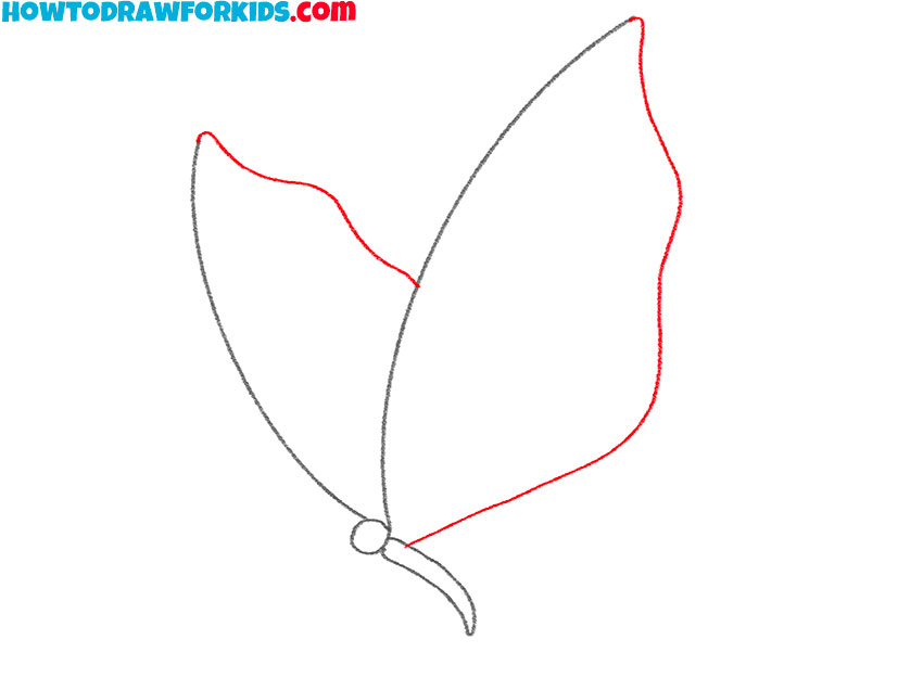 how to draw a realistic butterfly flying