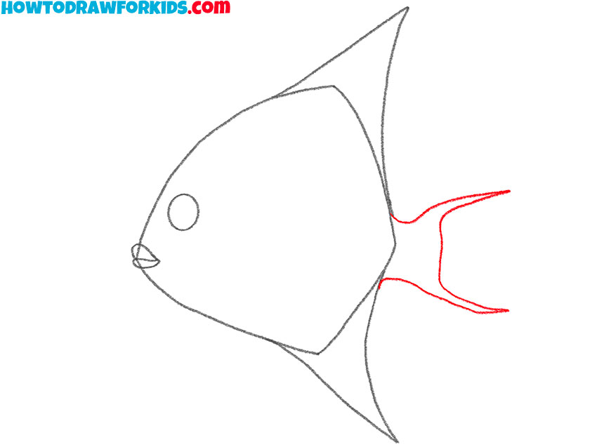 angelfish drawing lesson