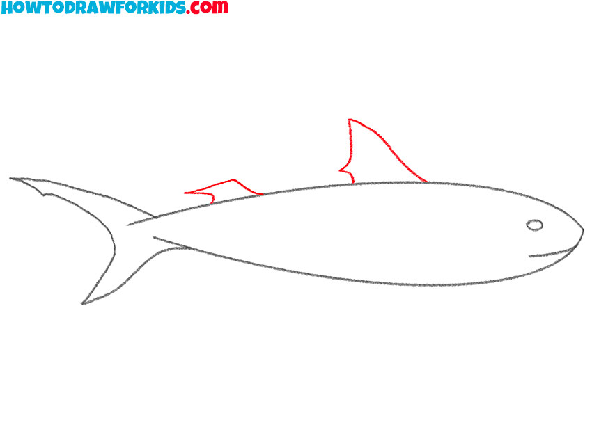 how to draw a cartoon tiger shark