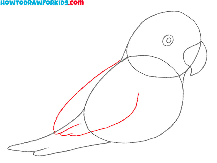 how to draw a parrot art hub