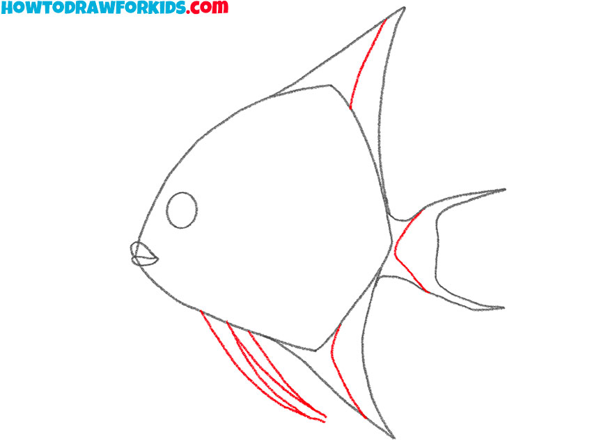 angelfish drawing guide