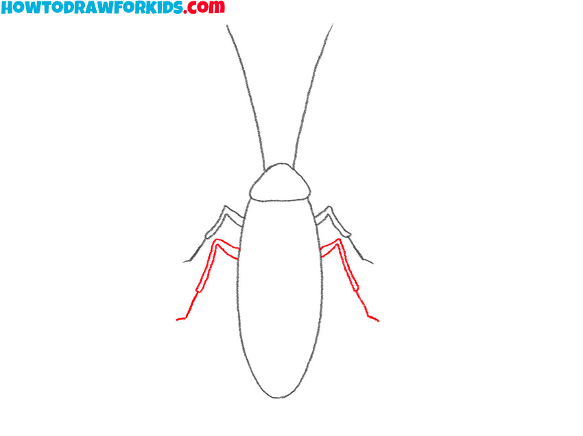 cockroach drawing guide