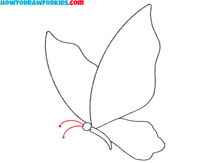 How to Draw a Flying Butterfly Easy Drawing Tutorial For Kids
