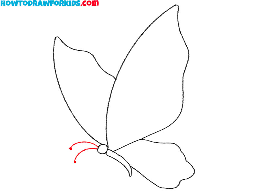 flying butterfly drawing lesson