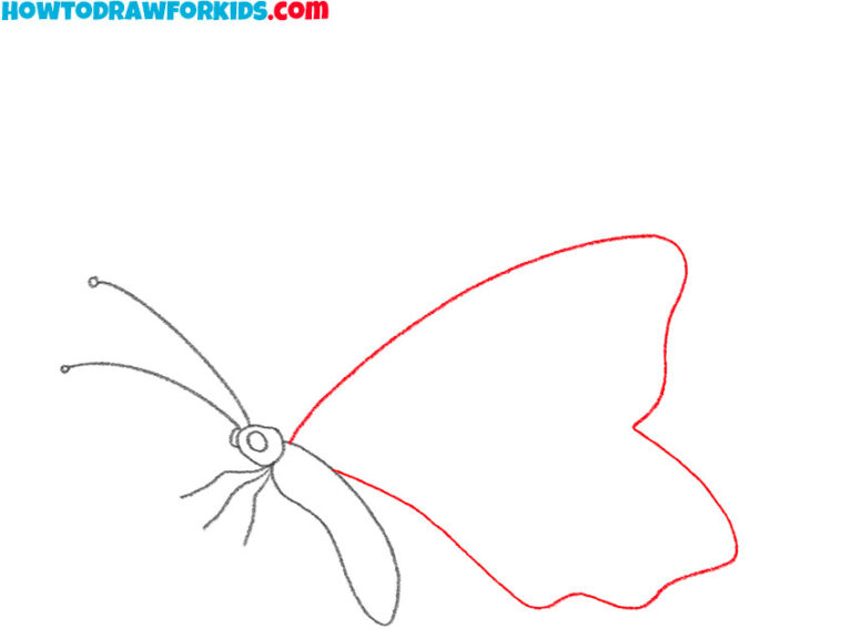 How to Draw a Butterfly Step by Step Drawing Tutorial For Kids