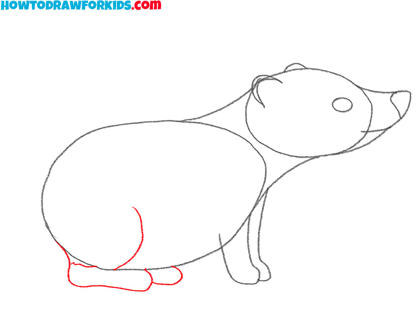 how to draw a cute cartoon badger