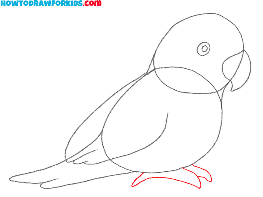 how to draw a parrot art simple