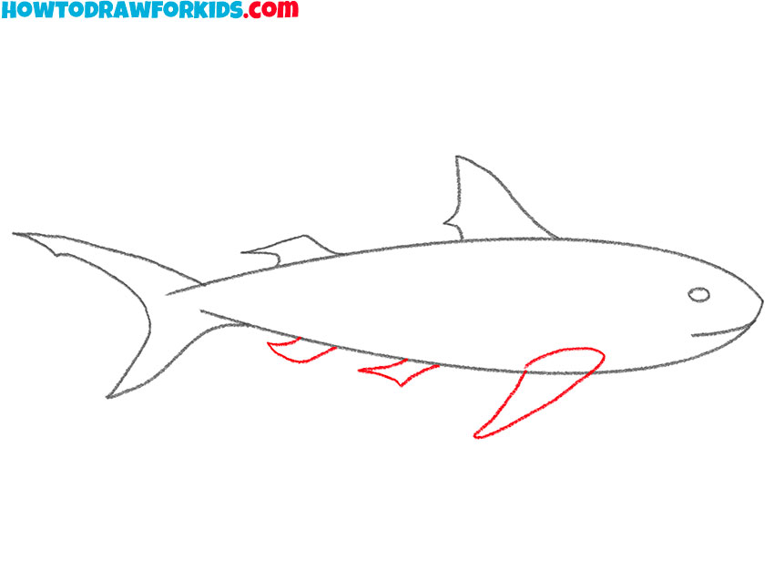 how to draw a realistic tiger shark