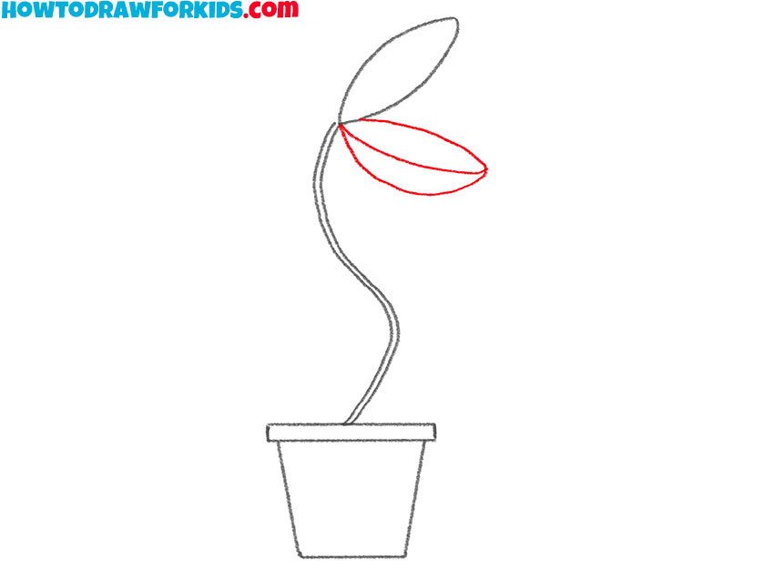 how to draw a venus flytrap for beginners