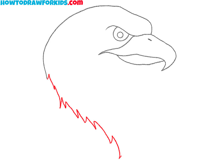 how to draw an eagle head for beginners