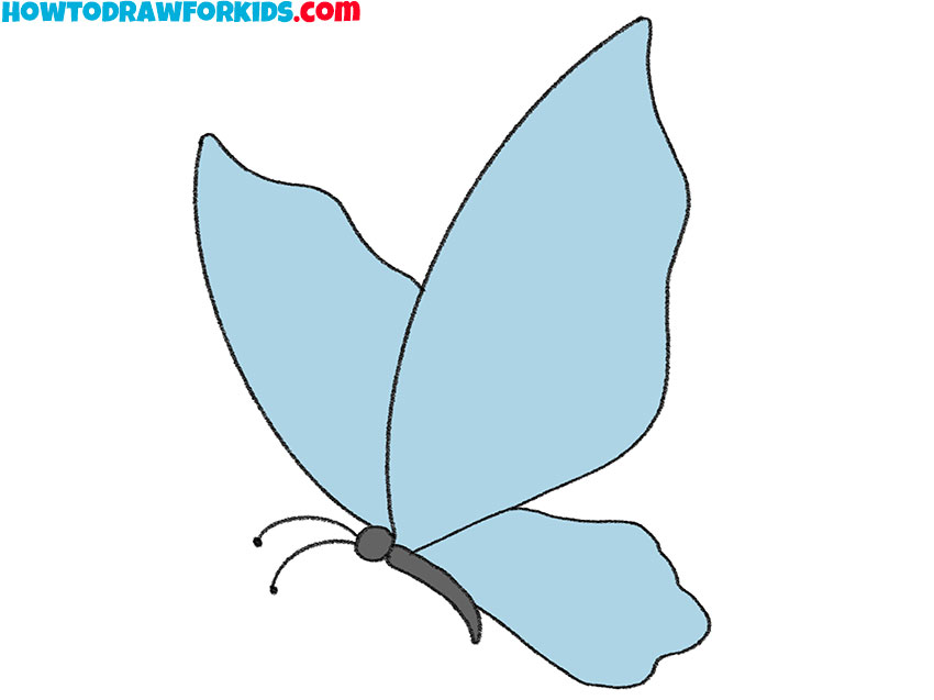 flying butterfly drawing guide