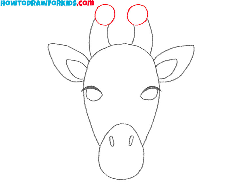 how to draw a realistic giraffe head