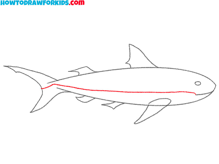 how to draw a tiger shark fir kids