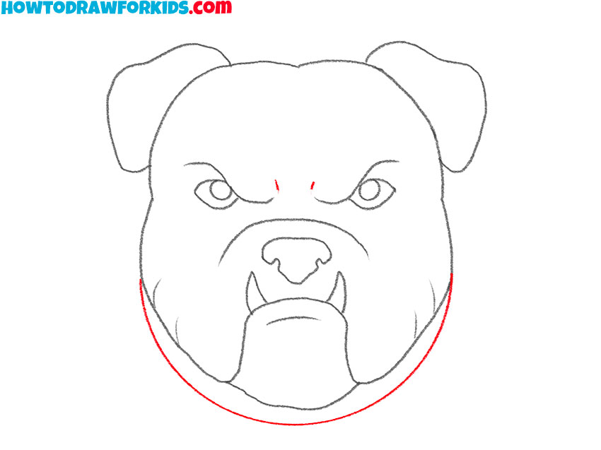 pitbull face drawing lesson