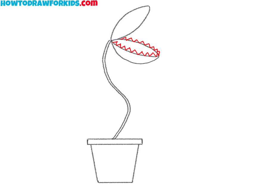 venus flytrap drawing lesson