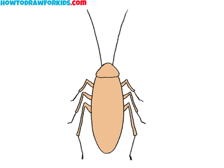 How to Draw a Cockroach Easy Drawing Tutorial For Kids