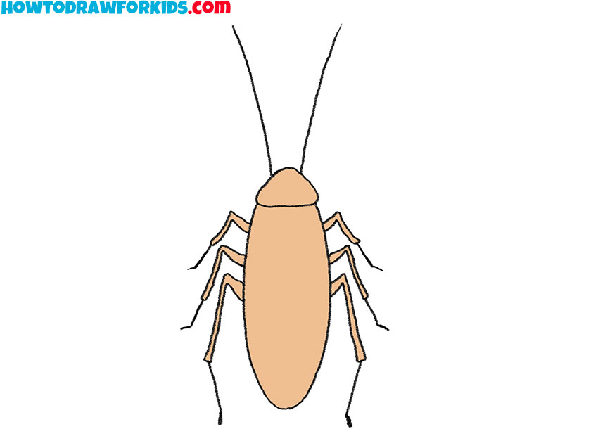 How to draw a cockroach step by step | Drawing for beginners, Drawings, Easy  animal drawings