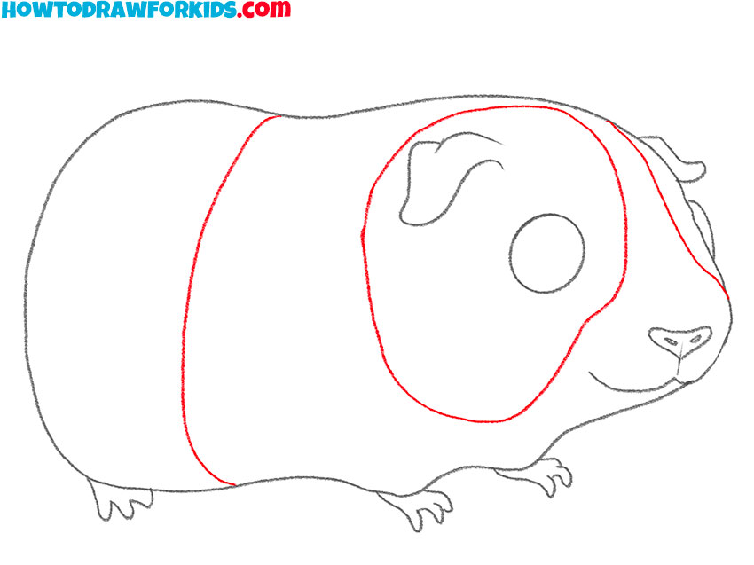 how to draw a cute guinea pig