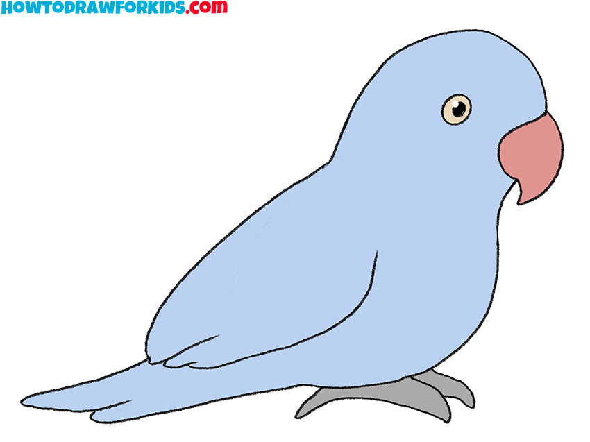 how to draw a cute parrot easy