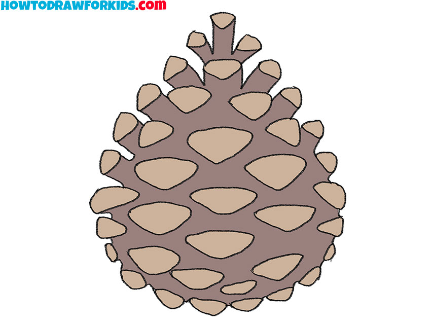 how to draw a pinecone for beginners