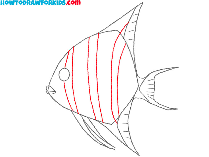 how to draw an angelfish for beginners