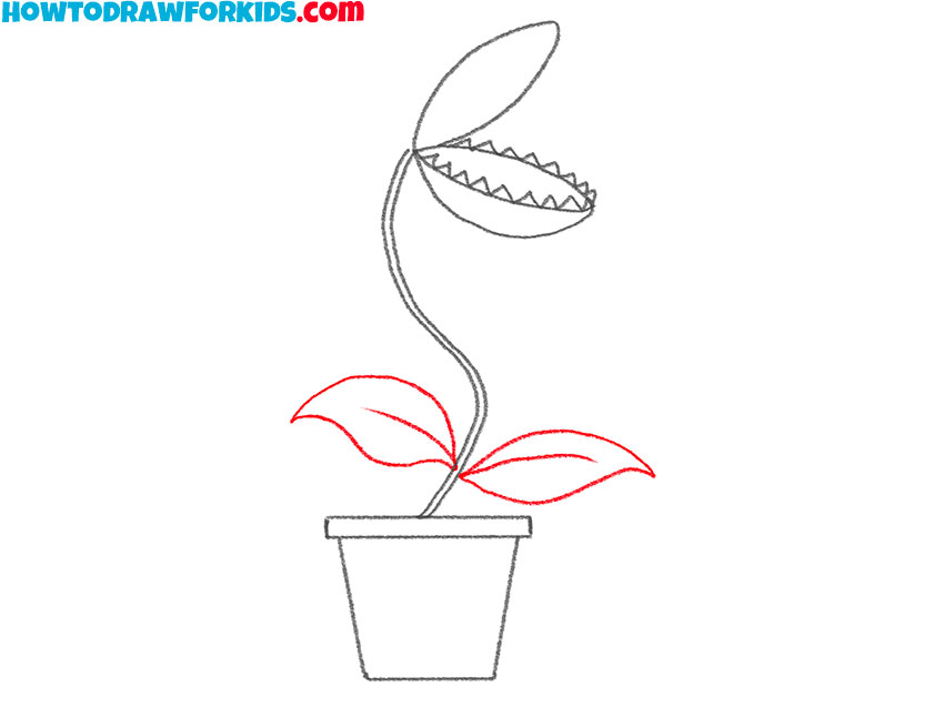 venus flytrap drawing guide