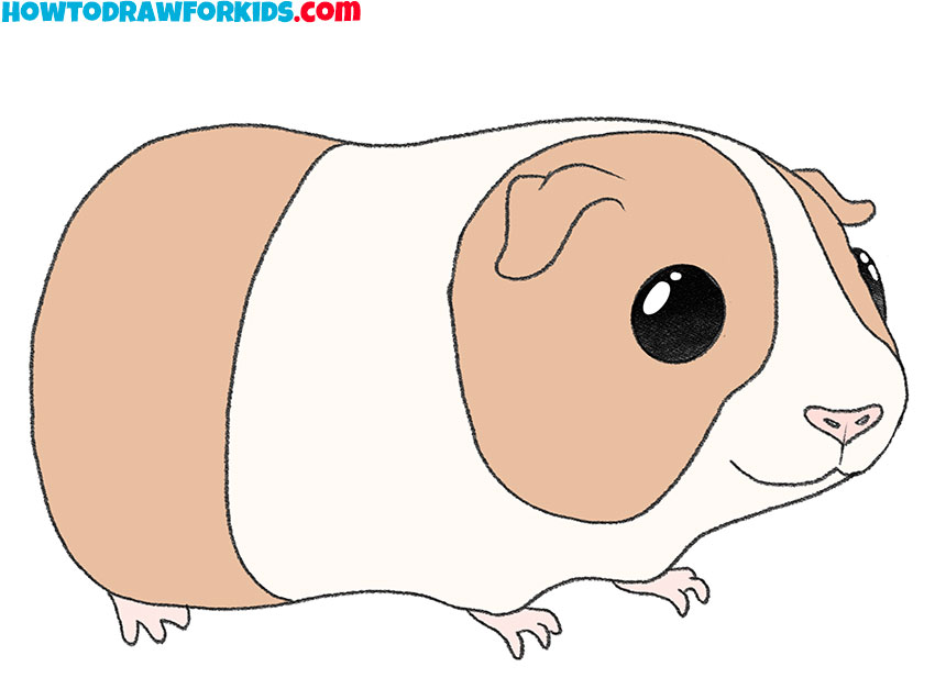 how to draw a cartoon guinea pig