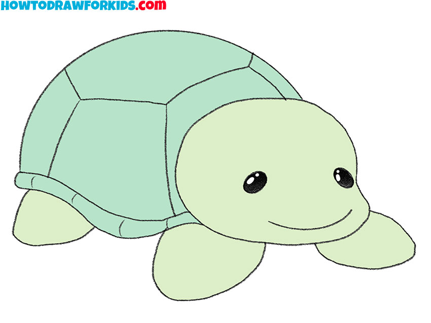 how to draw a turtle for beginners