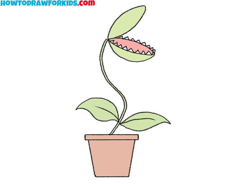 how to draw a venus flytrap for kindergaten